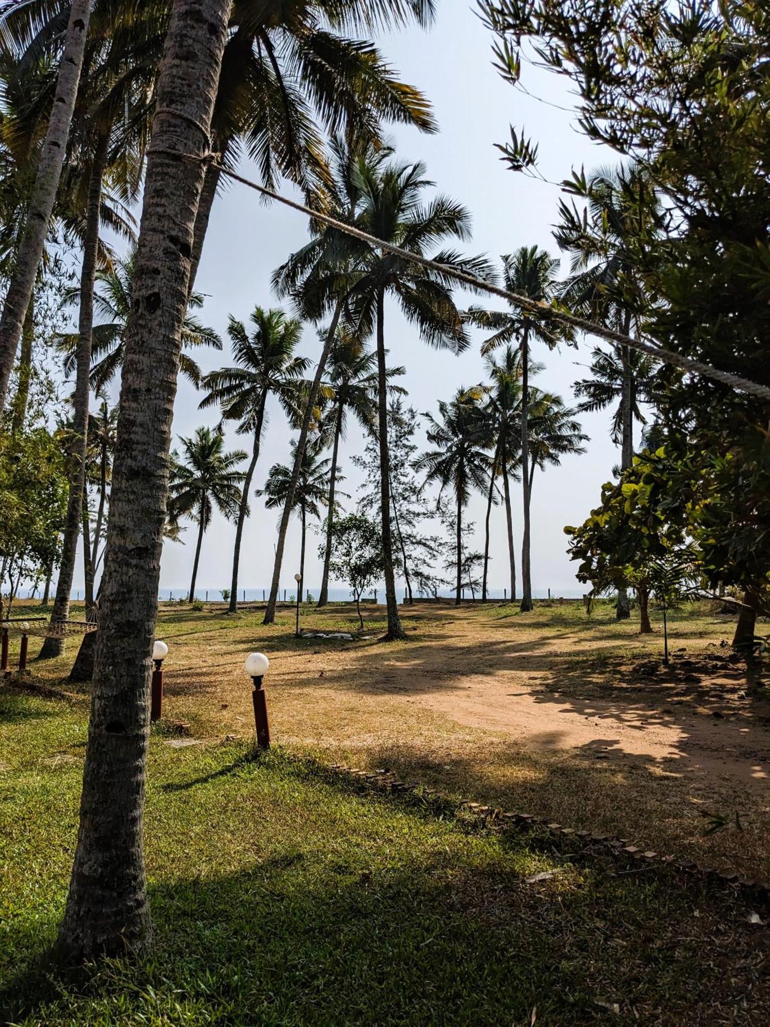 Baycliff Cottages Varkala Eksteriør bilde