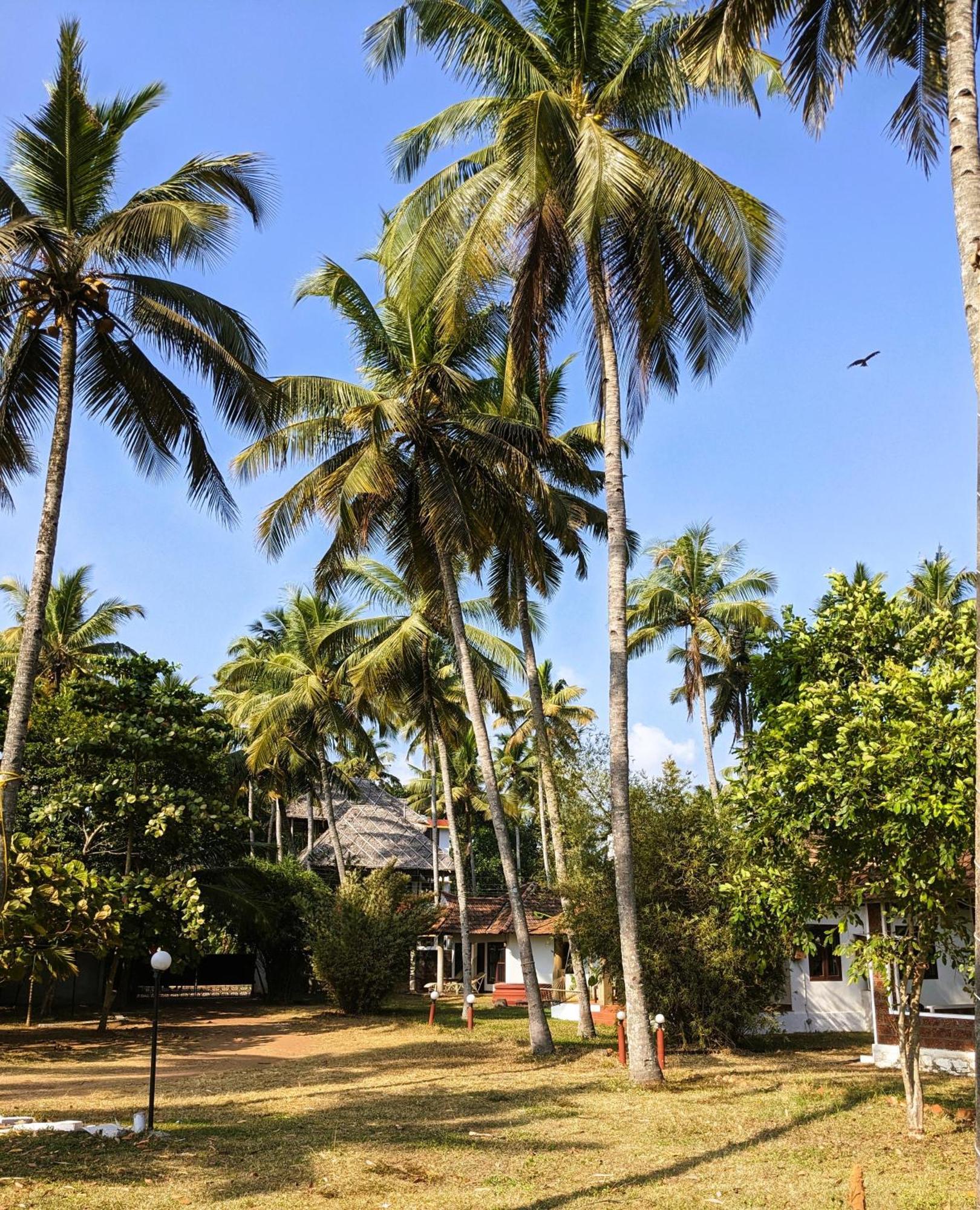 Baycliff Cottages Varkala Eksteriør bilde